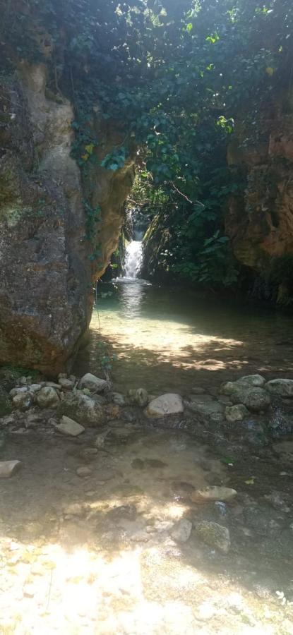 Habitacion De La Marquesa Alcoleja ภายนอก รูปภาพ